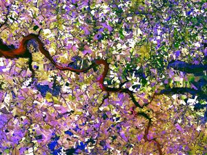 An aerial view of agricultural fields around a river.