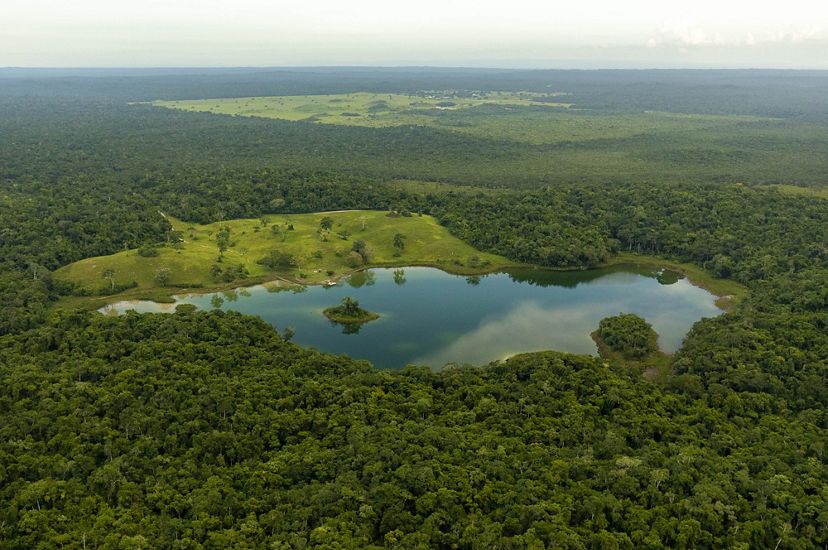 An aerial view of a lake surrounded by lush green forest in Belize Maya Forest.
