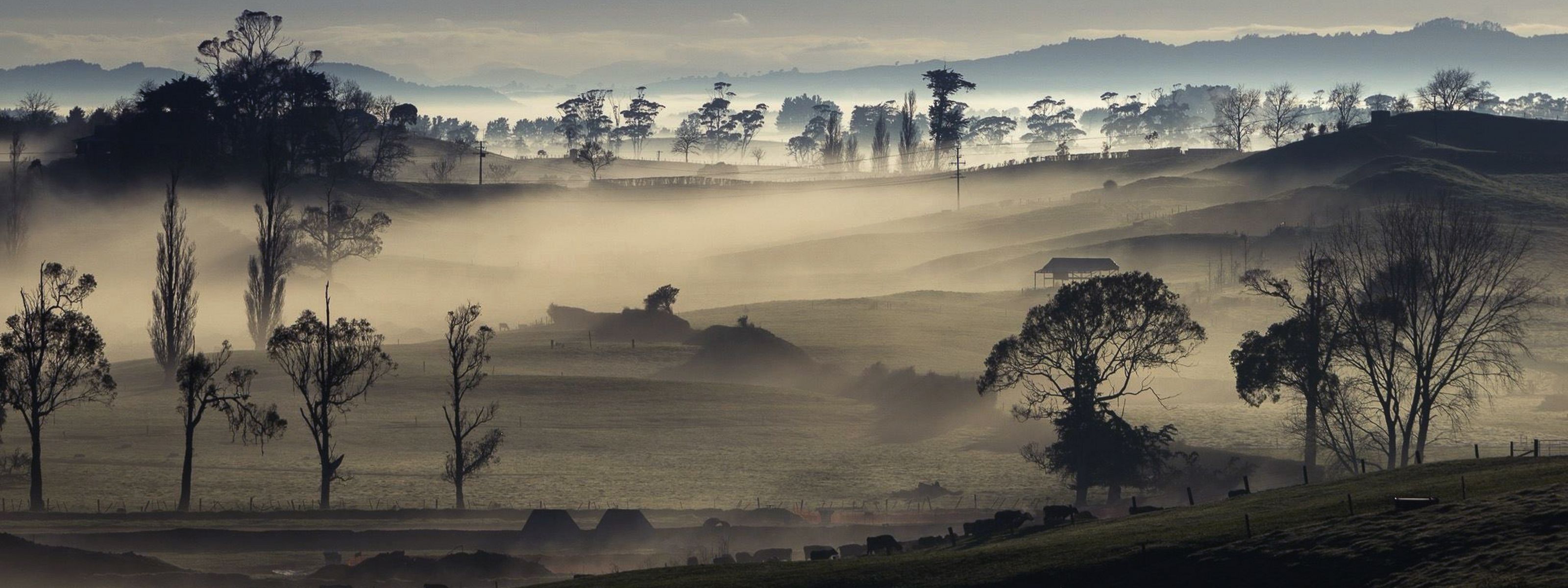 A landscape of rolling hills and trees is shrouded in mist at dawn.