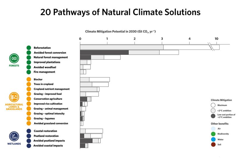 Infographic showing 20 pathways of NCS potential