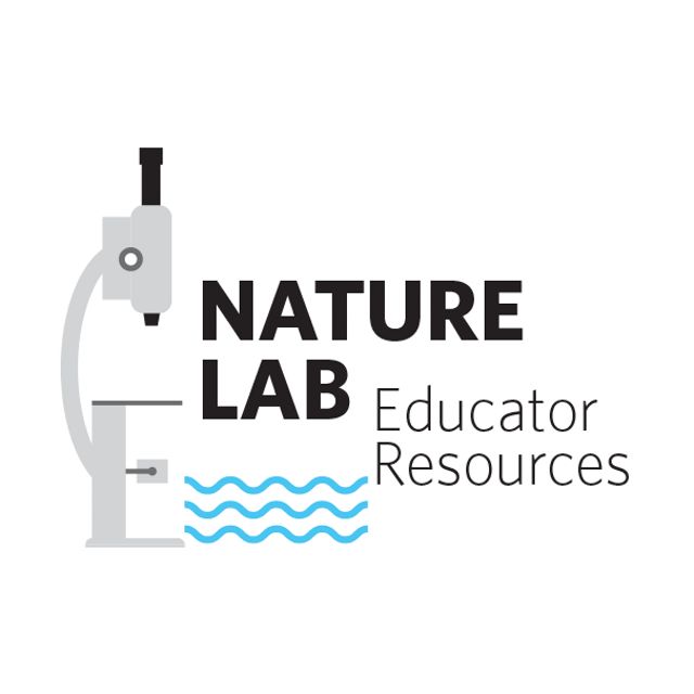 Volunteers working in a garden.