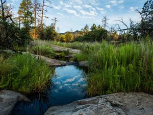 Places We Protect at The Nature Conservancy